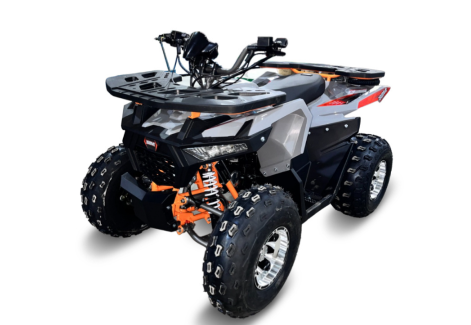 Квадроцикл GBM DAXTER 220 NEW PREMIUM в Новосибирске