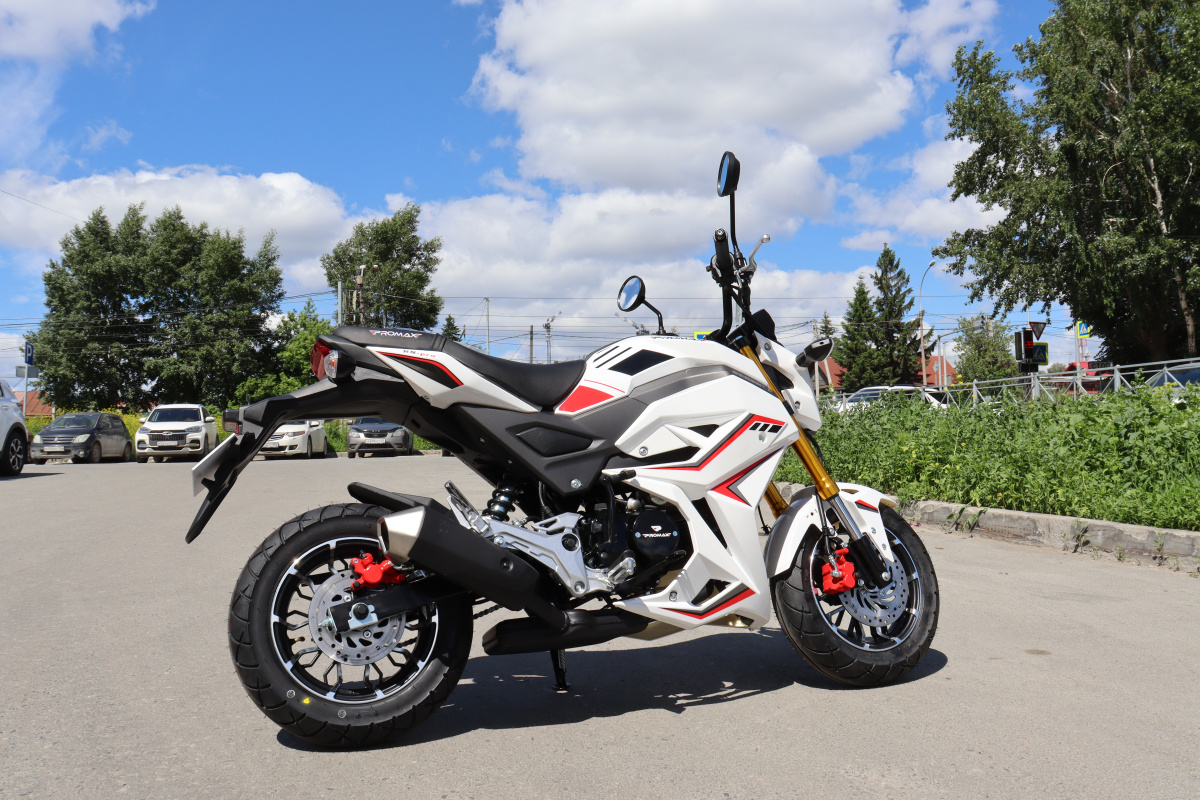 Мотоцикл PROMAX STRYKER 200(49) 2.0 в Новосибирске