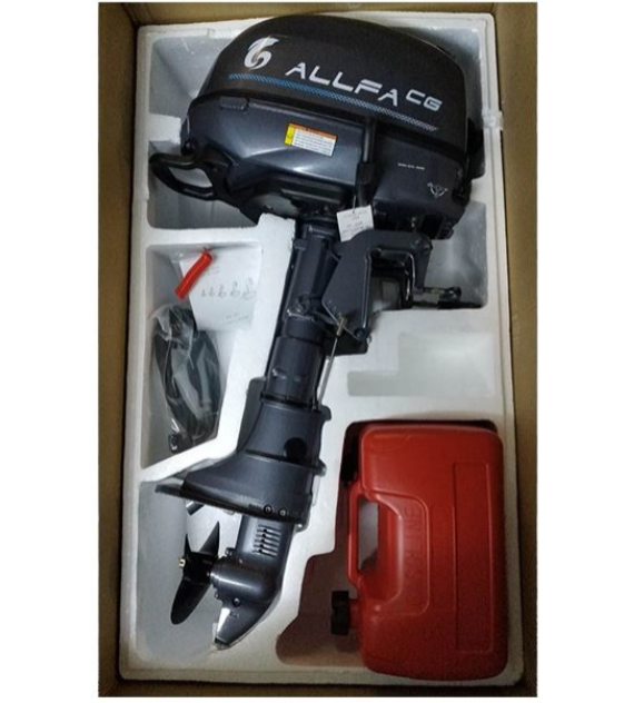Лодочный мотор ALLFA CG F6 в Новосибирске