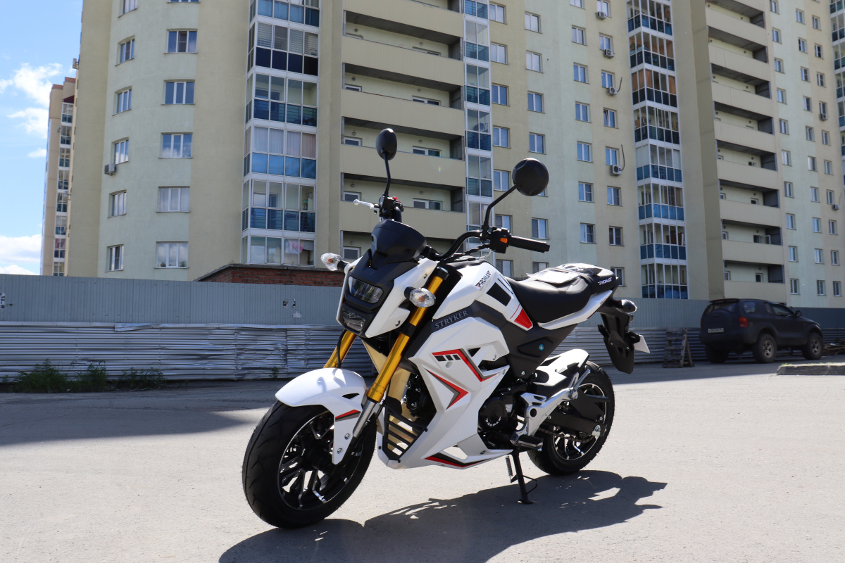 Мотоцикл PROMAX STRYKER 200(49) 2.0 в Новосибирске