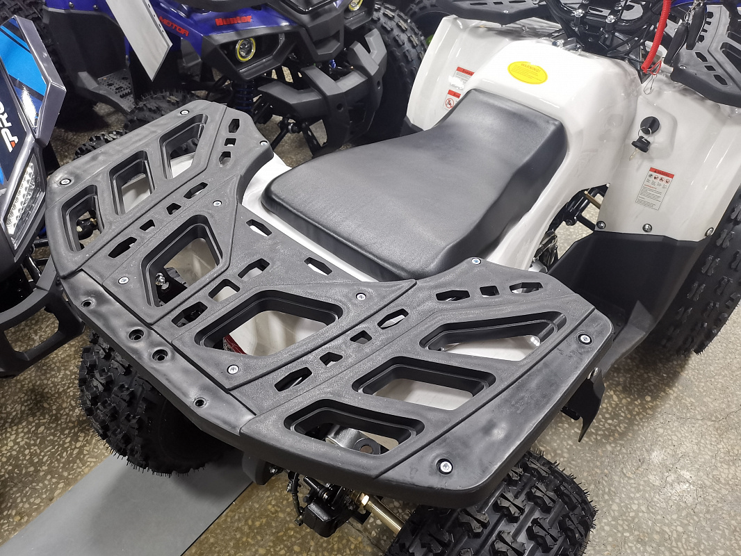 Квадроцикл PROMAX WILD 175 LUX в Новосибирске