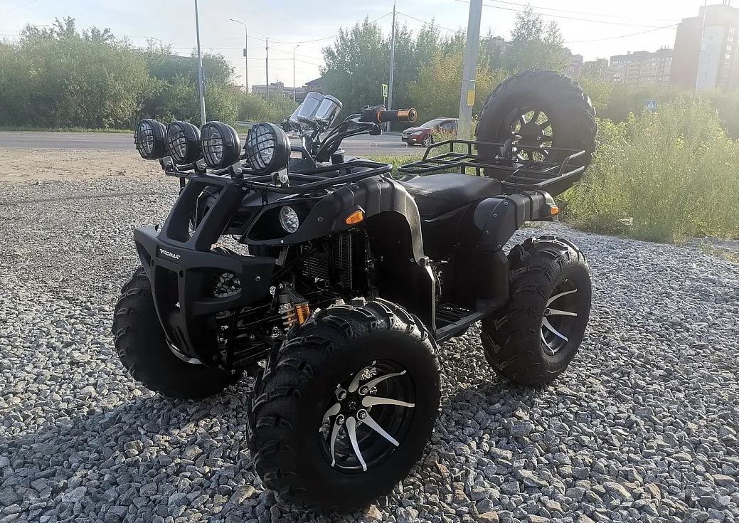 Квадроцикл PROMAX LEO 300 Max (кардан) в Новосибирске