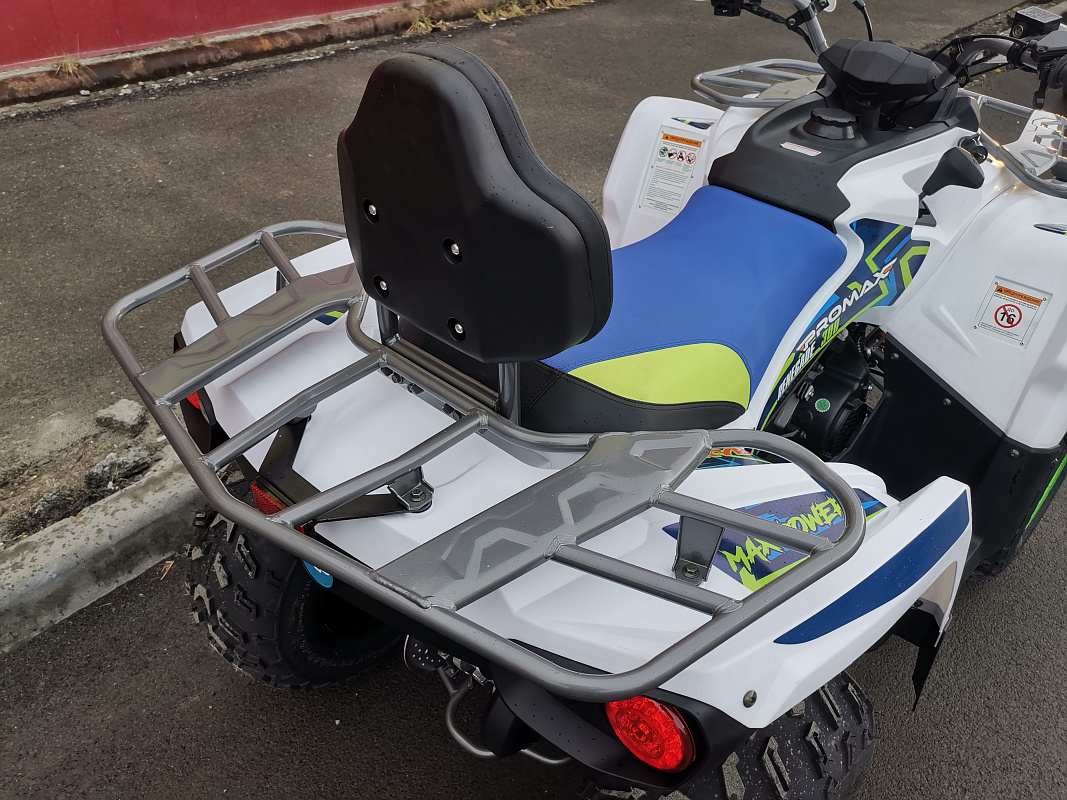Квадроцикл PROMAX RENEGADE 280 LUX (2025) в Новосибирске