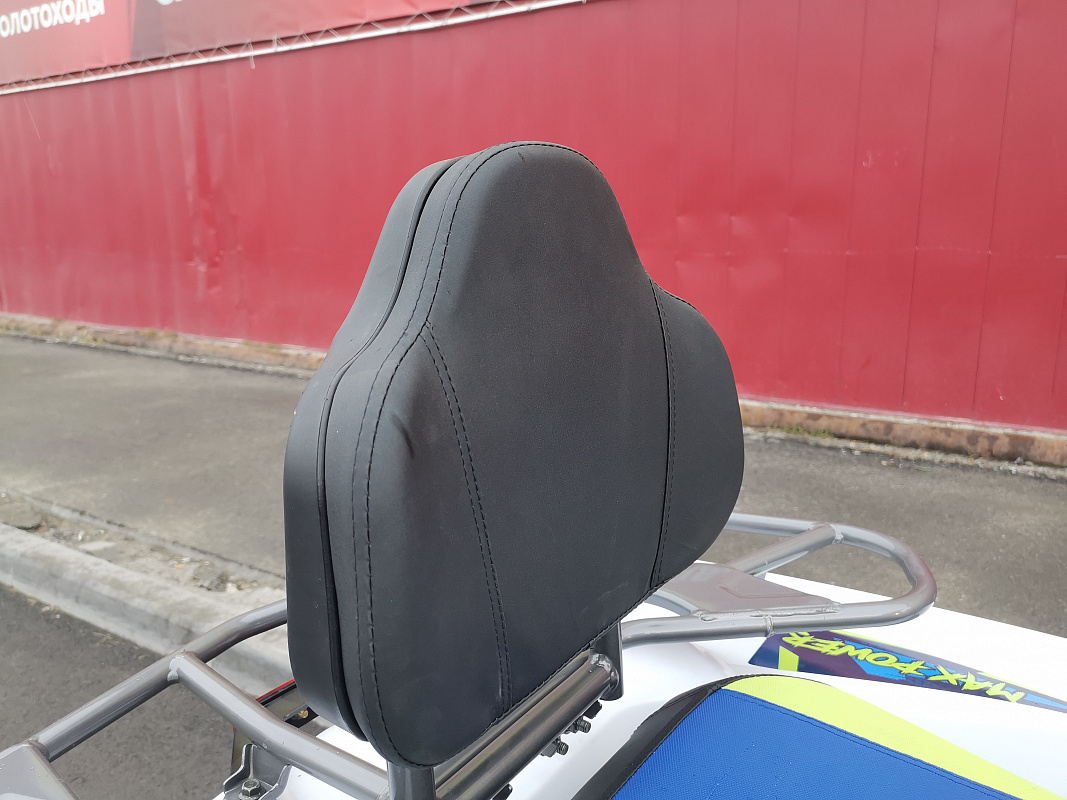 Квадроцикл PROMAX RENEGADE 280 LUX (2025) в Новосибирске