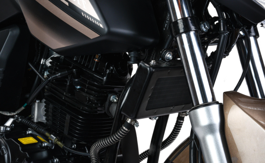 Мотоцикл MOTOLAND (МОТОЛЕНД) 300 BANDIT в Новосибирске