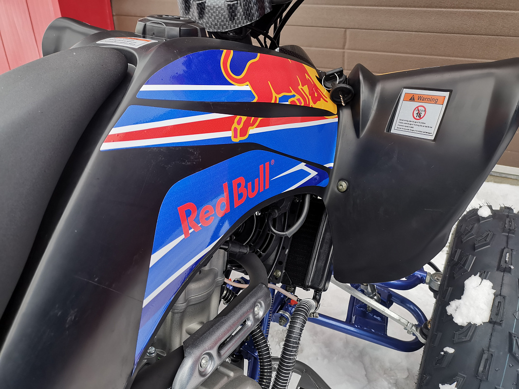 Квадроцикл PROMAX RAPTOR 300 NEW RedBull в Новосибирске