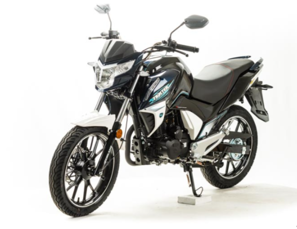 Мотоцикл MOTOLAND (МОТОЛЕНД) FIGHTER 250 в Новосибирске