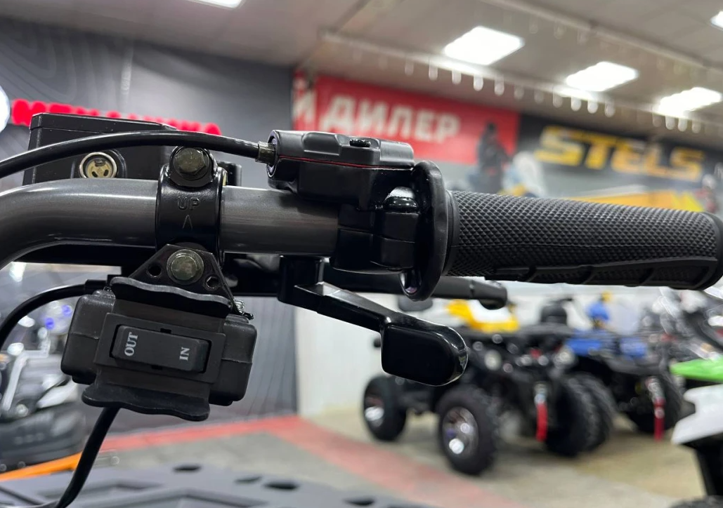 Квадроцикл PROMAX RENEGADE 300 LONG WINCH PRO (2025) в Новосибирске