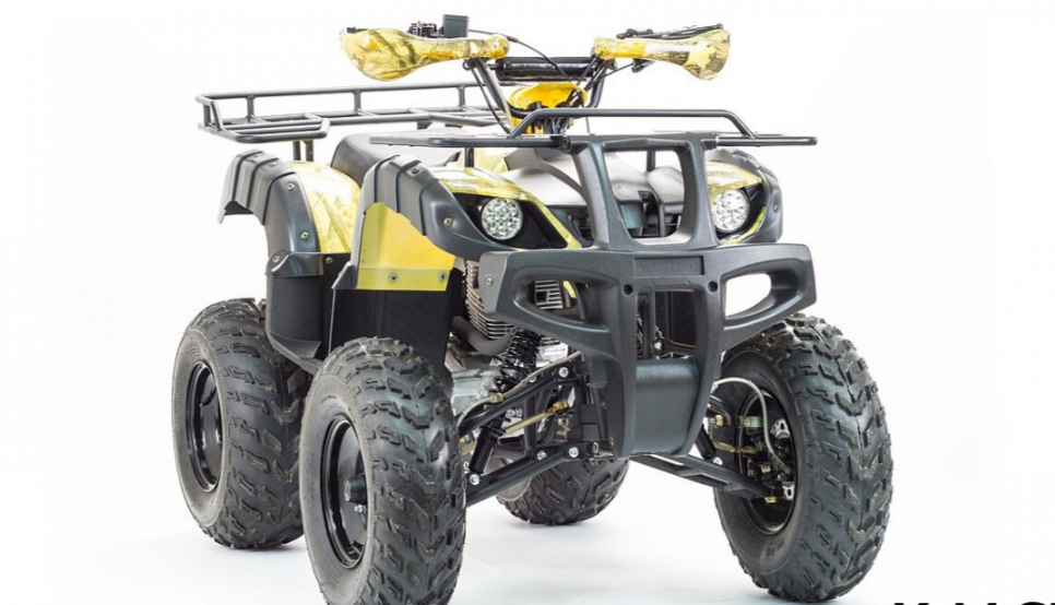 Квадроцикл MOTOLAND (МОТОЛЕНД) 250 ADVENTURE в Новосибирске