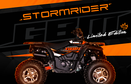 Квадроцикл GBM STORMRIDER 320 NEW LUX в Новосибирске