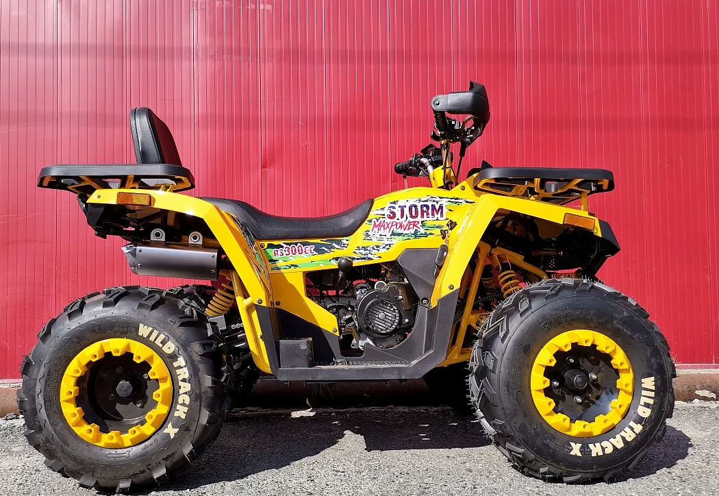 Квадроцикл PROMAX STORM 280 LUX в Новосибирске