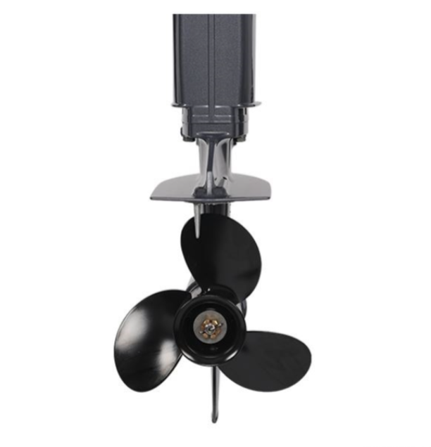 Лодочный мотор ALLFA CG Т40FW S в Новосибирске