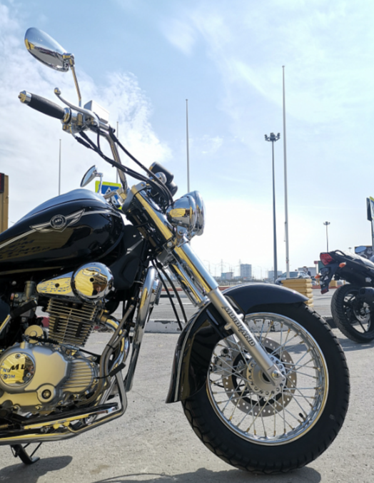 Мотоцикл MOTOLAND (МОТОЛЕНД) WOLF 250 в Новосибирске