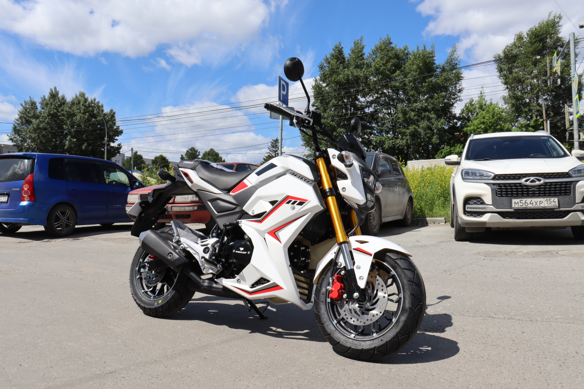 Мотоцикл PROMAX STRYKER 200(49) 2.0 в Новосибирске