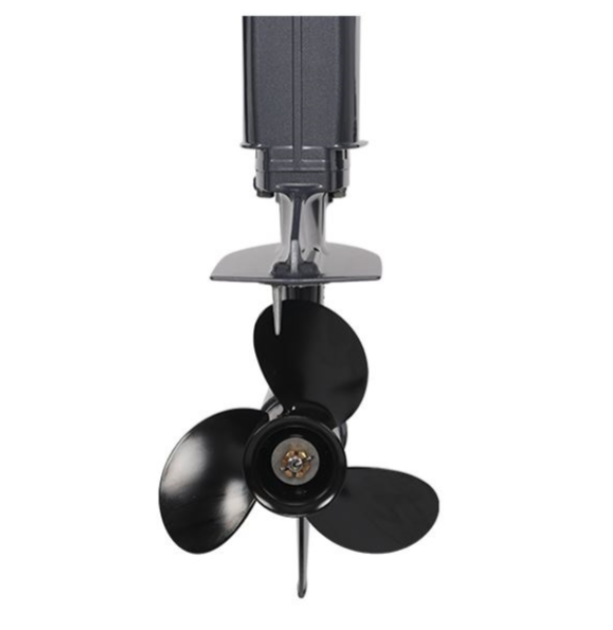 Лодочный мотор ALLFA CG Т40FWT S в Новосибирске