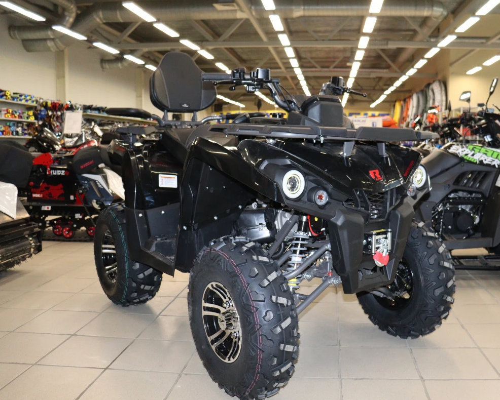 Квадроцикл PROMAX RENEGADE 300 LONG WINCH PRO (2025) в Новосибирске