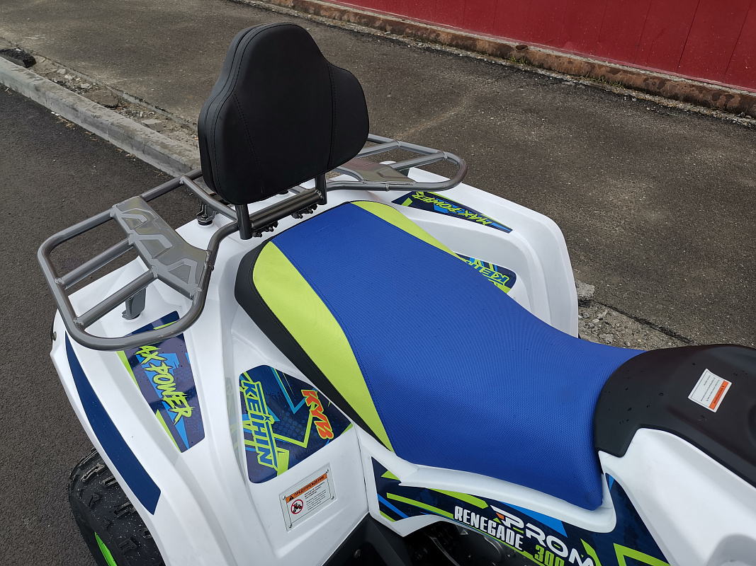 Квадроцикл PROMAX RENEGADE 280 LUX (2025) в Новосибирске
