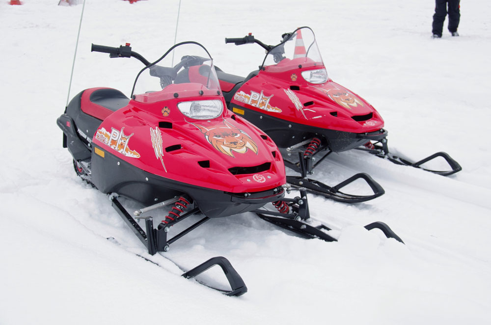 Снегоход РМ ТАЙГА РЫСЬ в Новосибирске