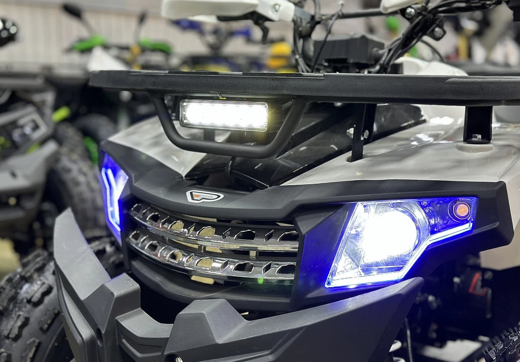 Квадроцикл PROMAX WILD 2.0 190 в Новосибирске