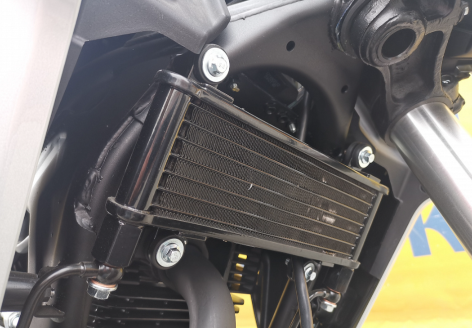 Мотоцикл MOTOLAND (МОТОЛЕНД) 250 CB250 (172FMM-5/PR250) (2022 г.) в Новосибирске