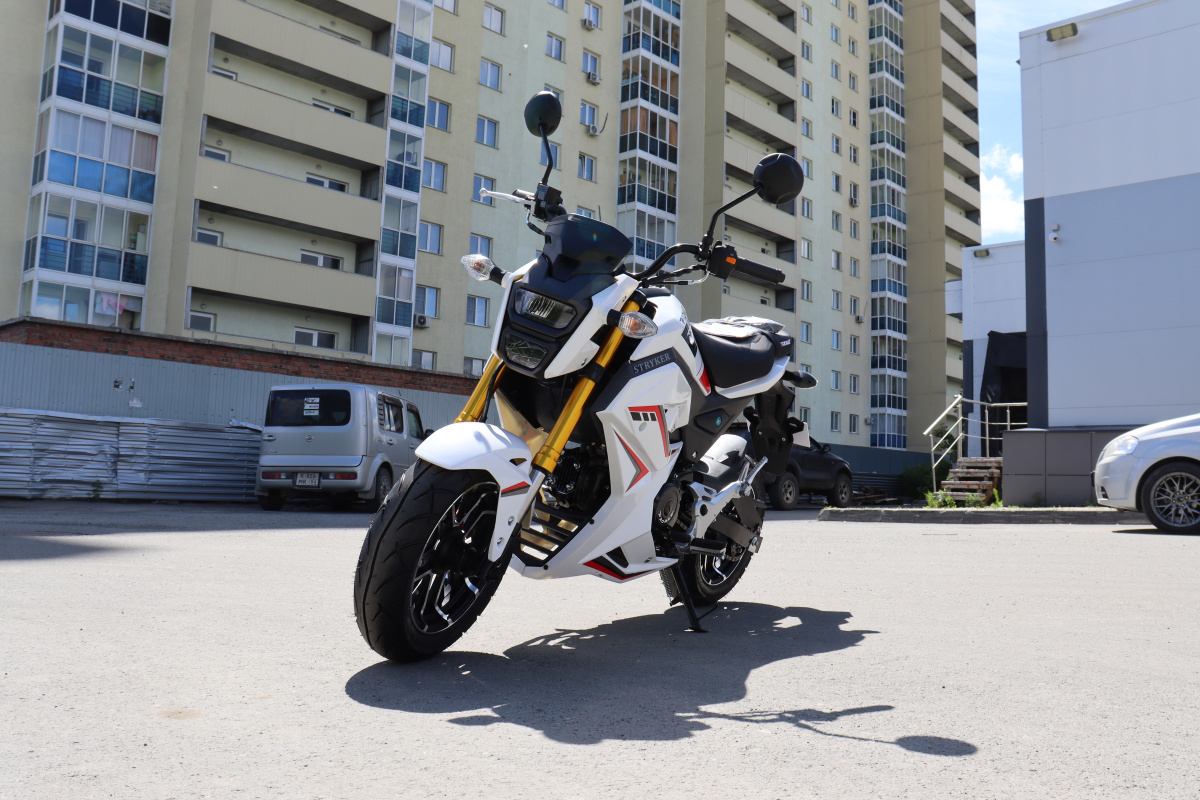 Мотоцикл PROMAX STRYKER 200(49) 2.0 в Новосибирске