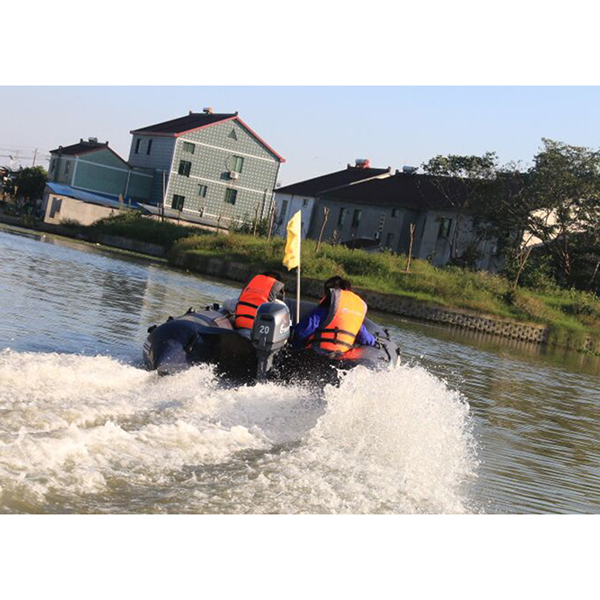 ЛОДОЧНЫЙ МОТОР ALLFA CG Т20 в Новосибирске