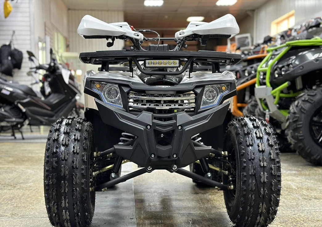 Квадроцикл PROMAX WILD 2.0 190 в Новосибирске