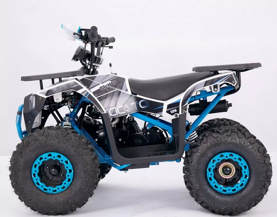 Квадроцикл YACOTA SIRIUS 110 в Новосибирске