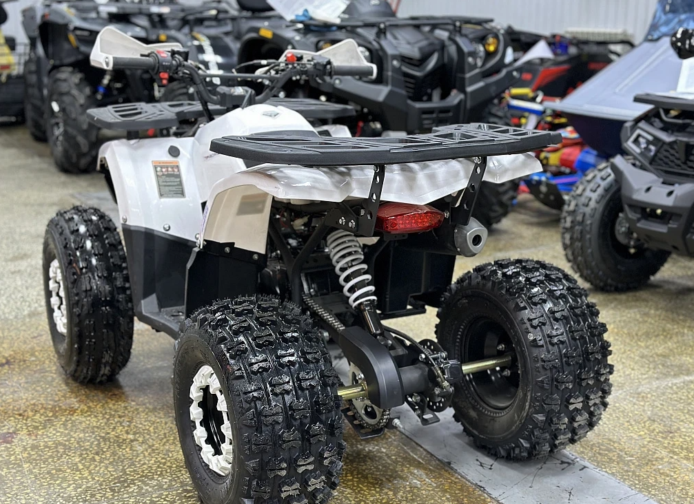 Квадроцикл PROMAX WILD 2.0 190 в Новосибирске