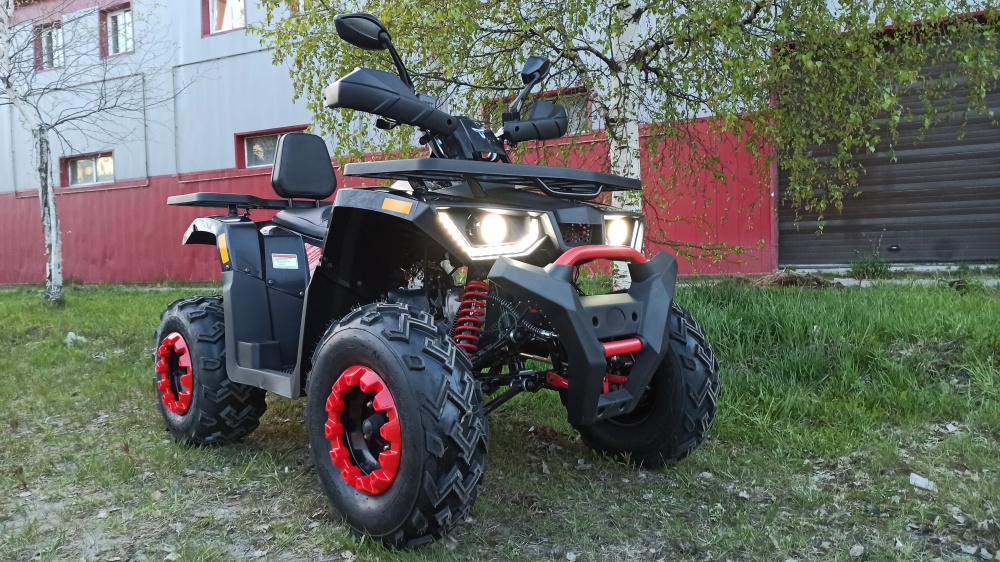 Квадроцикл PROMAX WILD 300 LUX (2024) в Новосибирске