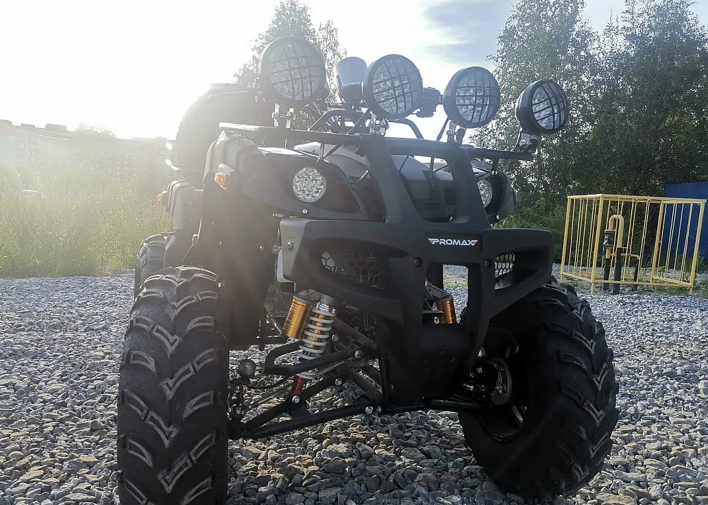 Квадроцикл PROMAX LEO 300 Max (кардан) в Новосибирске