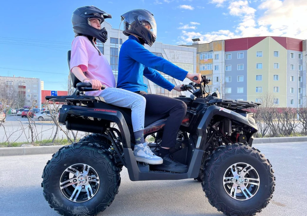 Квадроцикл PROMAX RENEGADE 300 LONG WINCH PRO (2025) в Новосибирске