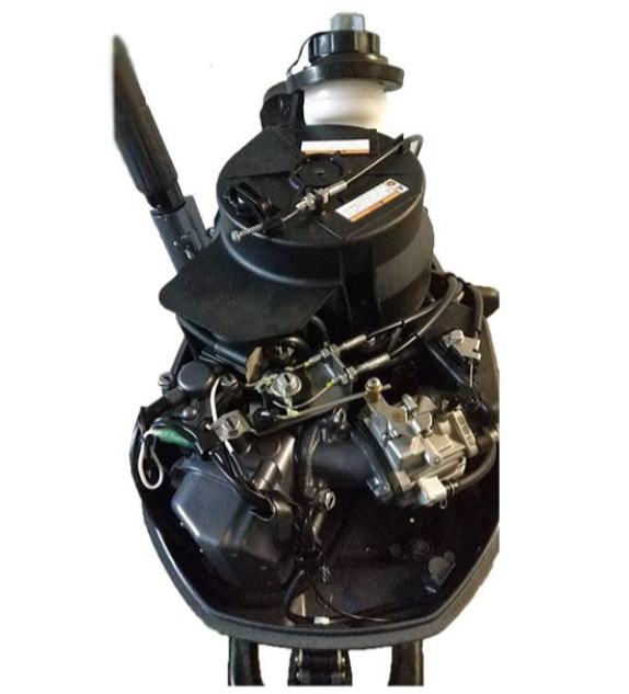 Лодочный мотор ALLFA CG F6 в Новосибирске