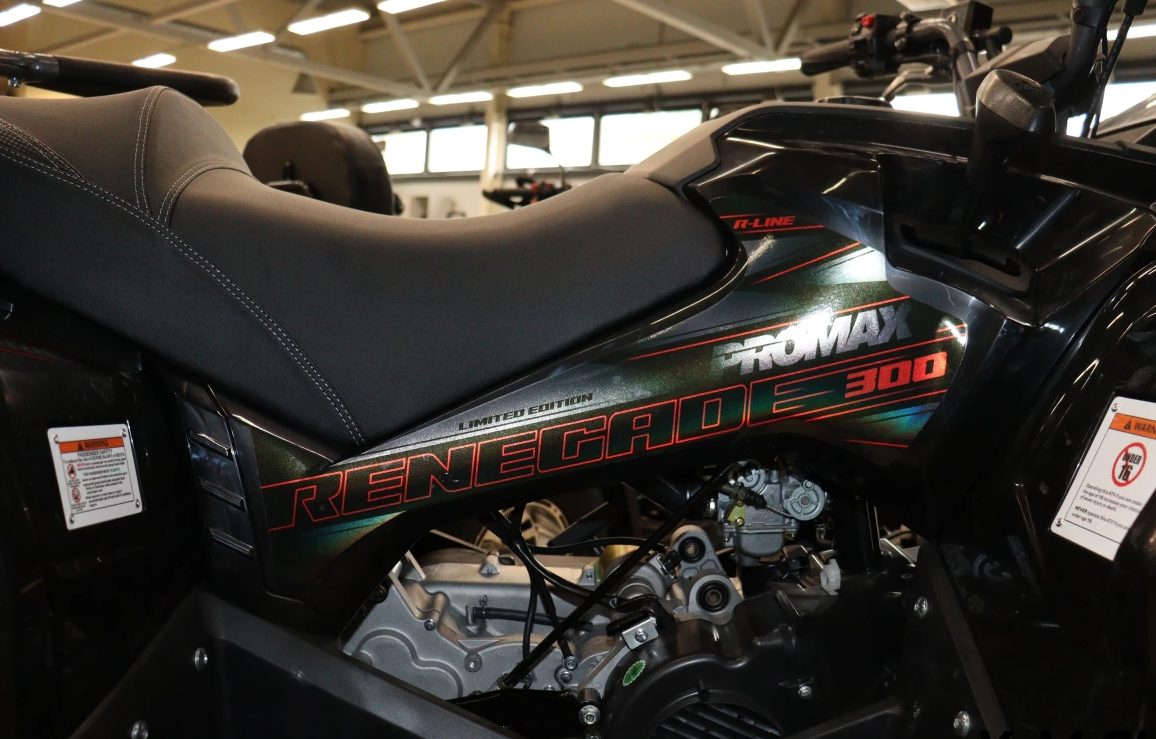 Квадроцикл PROMAX RENEGADE 300 LONG WINCH PRO (2025) в Новосибирске