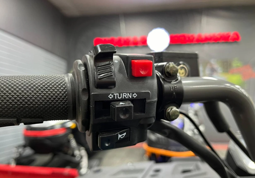 Квадроцикл PROMAX RENEGADE 300 LONG WINCH PRO (2025) в Новосибирске