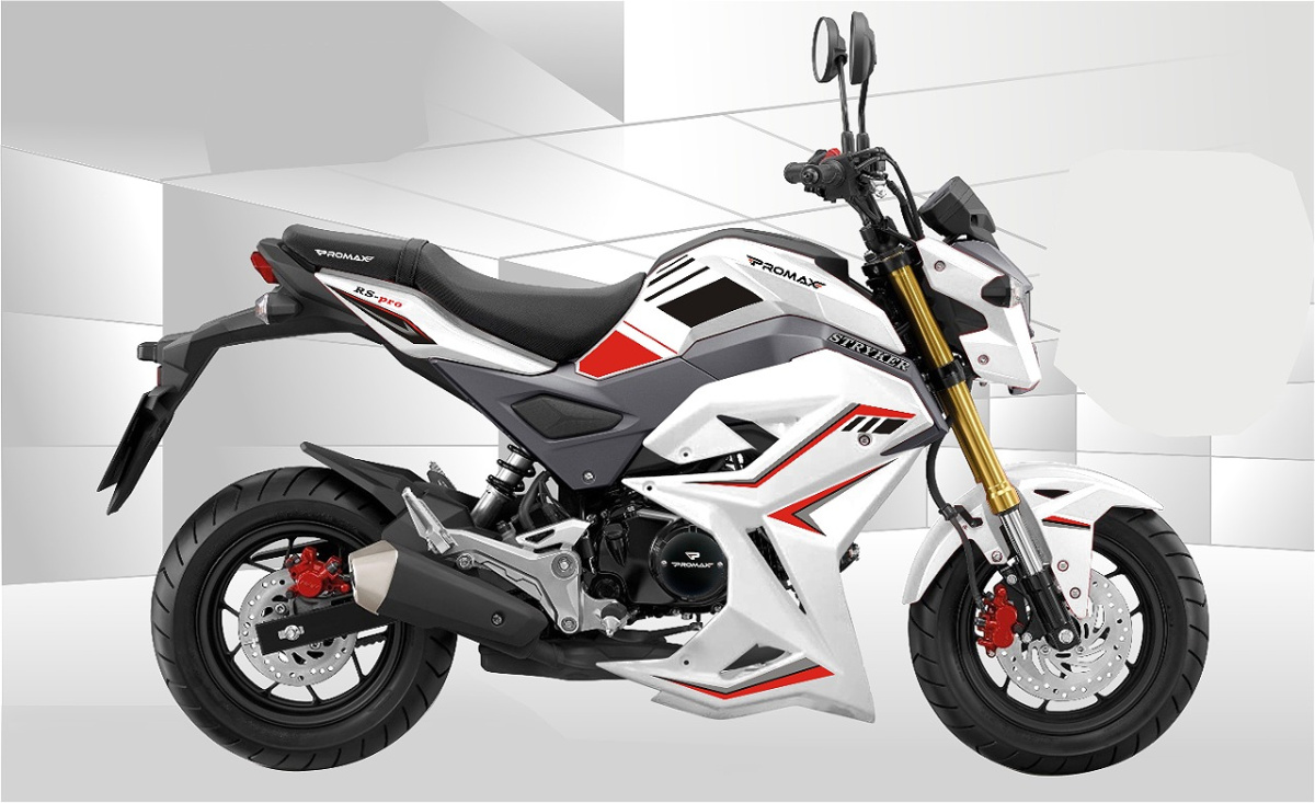 Мотоцикл PROMAX STRYKER 200(49) 2.0 в Новосибирске