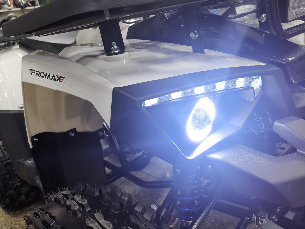 Квадроцикл PROMAX WILD 175 LUX в Новосибирске