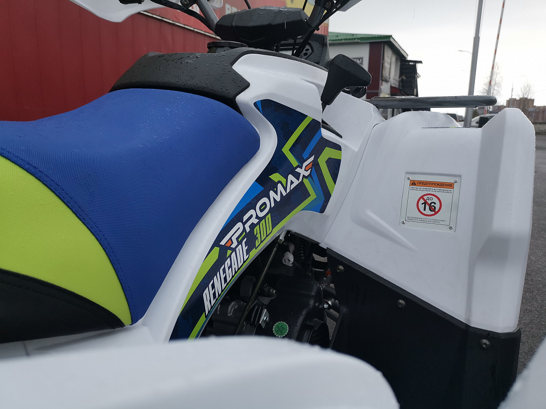 Квадроцикл PROMAX RENEGADE 280 LUX (2025) в Новосибирске