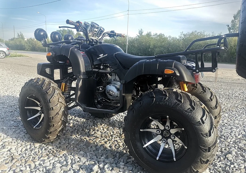 Квадроцикл PROMAX LEO 300 Max (кардан) в Новосибирске