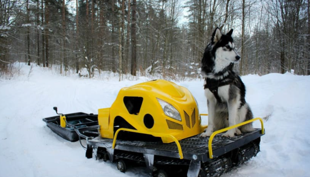 Мотобуксировщик LEBEDEV MOTORS ВОЛКОДАВ POWER V13 в Новосибирске
