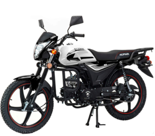 Мопед MOTOLAND (МОТОЛЕНД) Альфа RS 11 (LM48-B) в Новосибирске