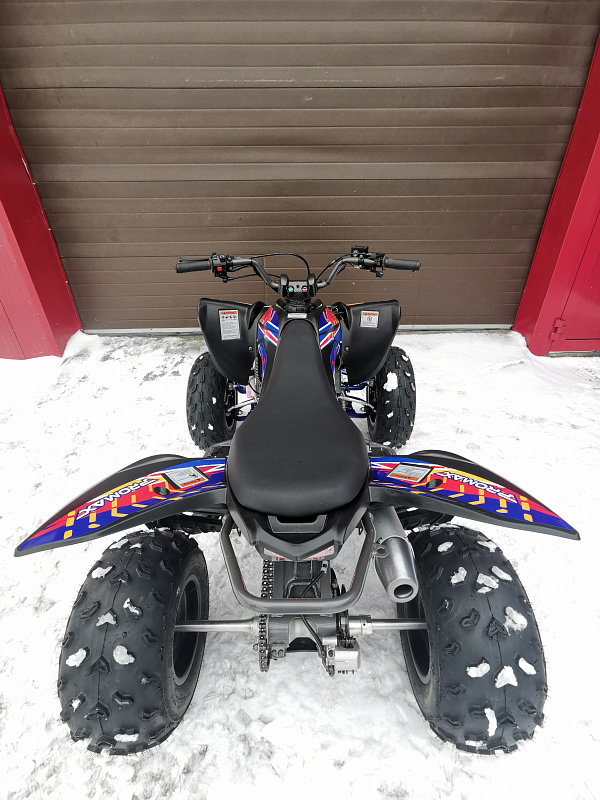 Квадроцикл PROMAX RAPTOR 300 NEW RedBull в Новосибирске