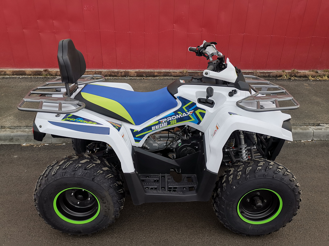 Квадроцикл PROMAX RENEGADE 280 LUX (2025) в Новосибирске