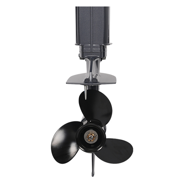 ЛОДОЧНЫЙ МОТОР ALLFA CG T30 FW S в Новосибирске