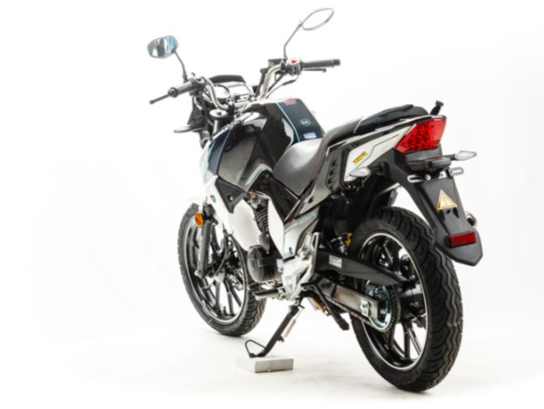 Мотоцикл MOTOLAND (МОТОЛЕНД) FIGHTER 250 в Новосибирске