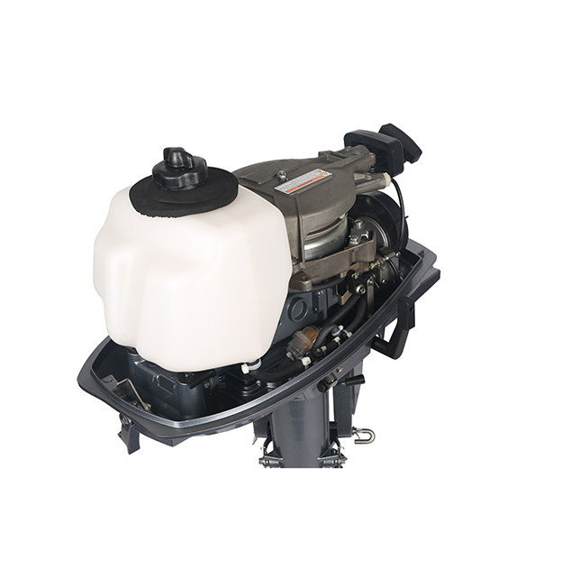 ЛОДОЧНЫЙ МОТОР ALLFA CG T5 в Новосибирске