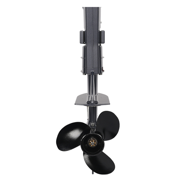 ЛОДОЧНЫЙ МОТОР ALLFA CG T5 в Новосибирске