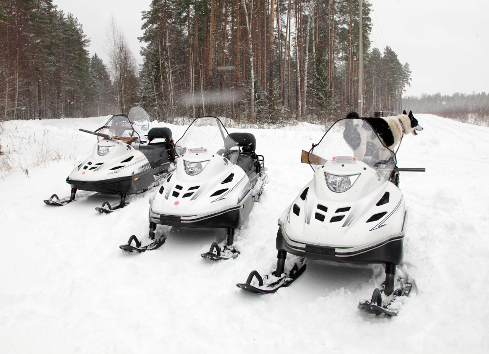 СНЕГОХОД РМ ТАЙГА ВАРЯГ 550 V в Новосибирске