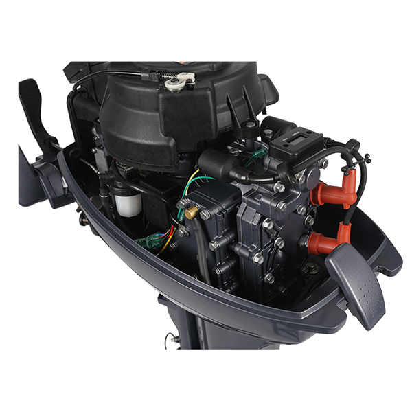 ЛОДОЧНЫЙ МОТОР ALLFA CG Т9,9 в Новосибирске