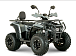 Квадроцикл YACOTA DRAGON LUX LD 150 PRO-SPORT в Новосибирске